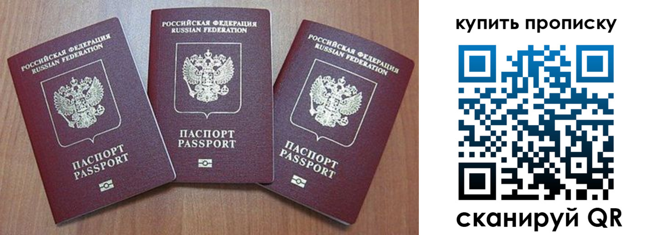 где прописаться в Кольчугино
